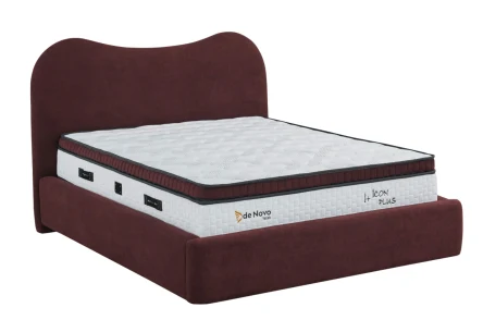 ICON PLUS BAZA